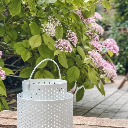 Wohlfuehl-apartment Sinsheim, Naehe Therme Und Museum