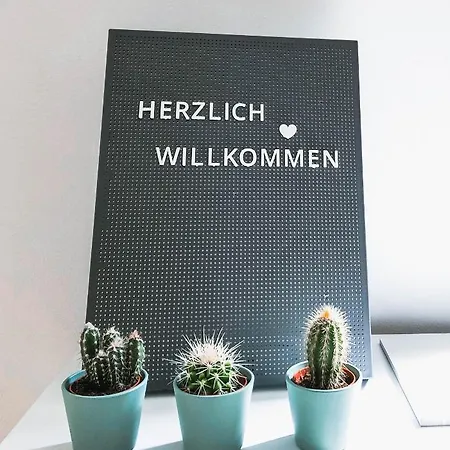 Wohlfuehl-apartment Sinsheim, Naehe Therme Und Museum Appartement