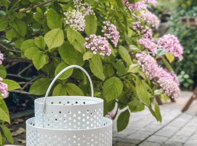 Wohlfühl-apartment Sinsheim, Nähe Therme Und Museum